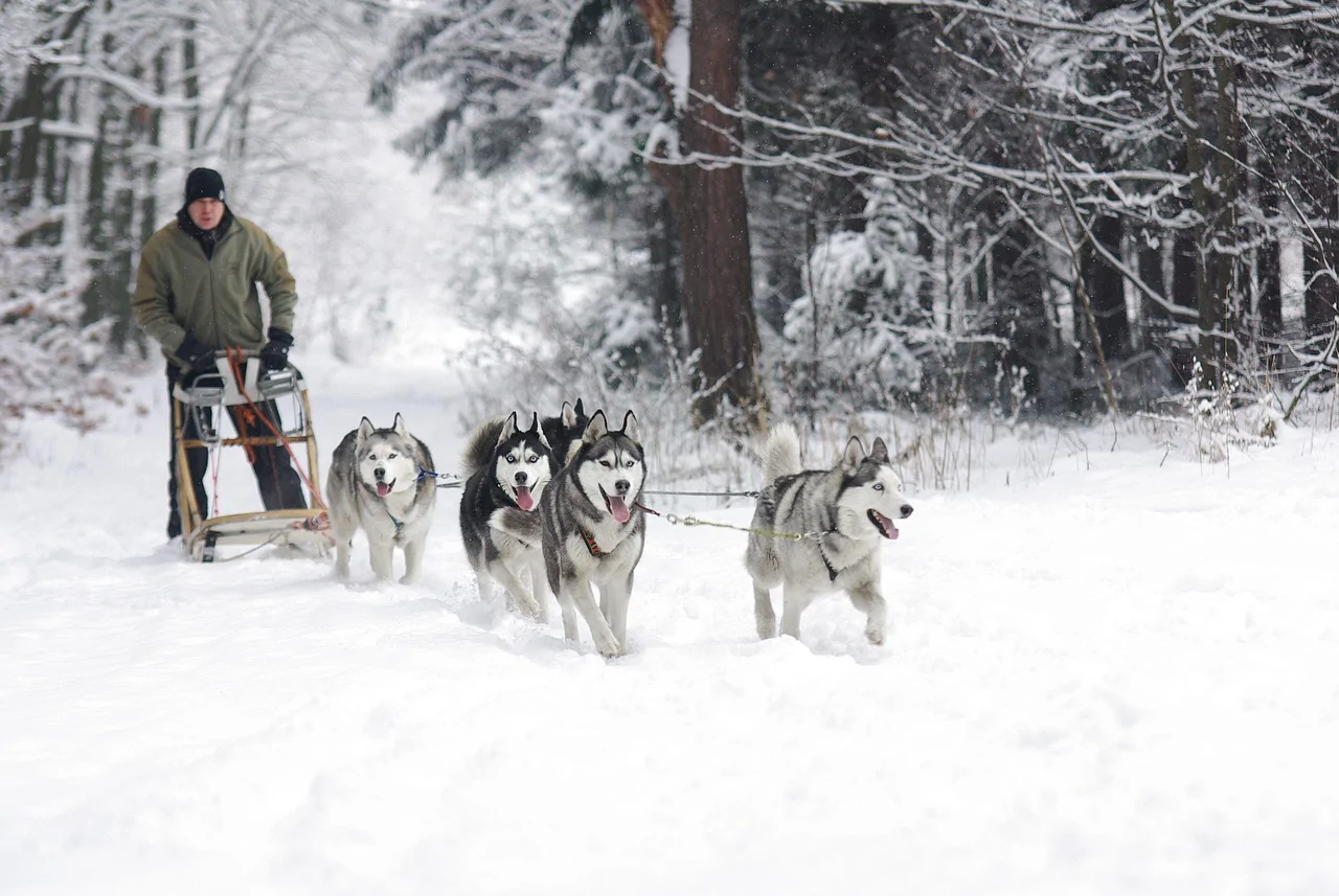 BÜYÜLEYİCİ KUZEY IŞIKLARI & LAPLAND - 2027