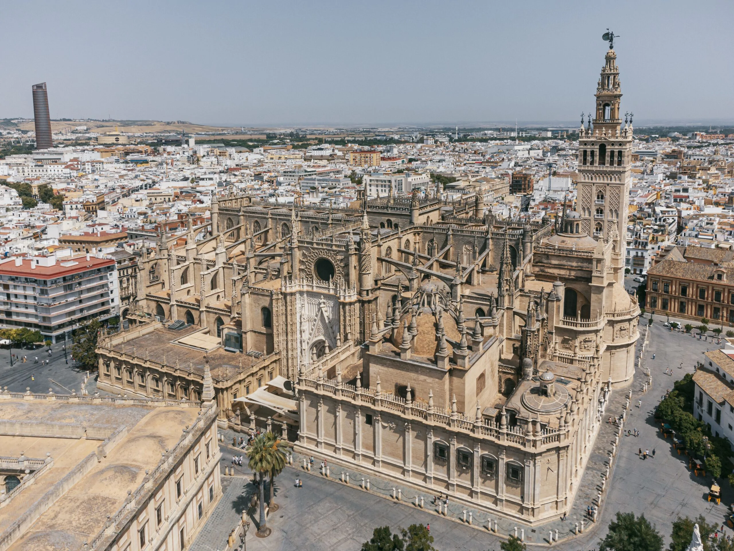 FLEX VALENCIA & BARCELONA