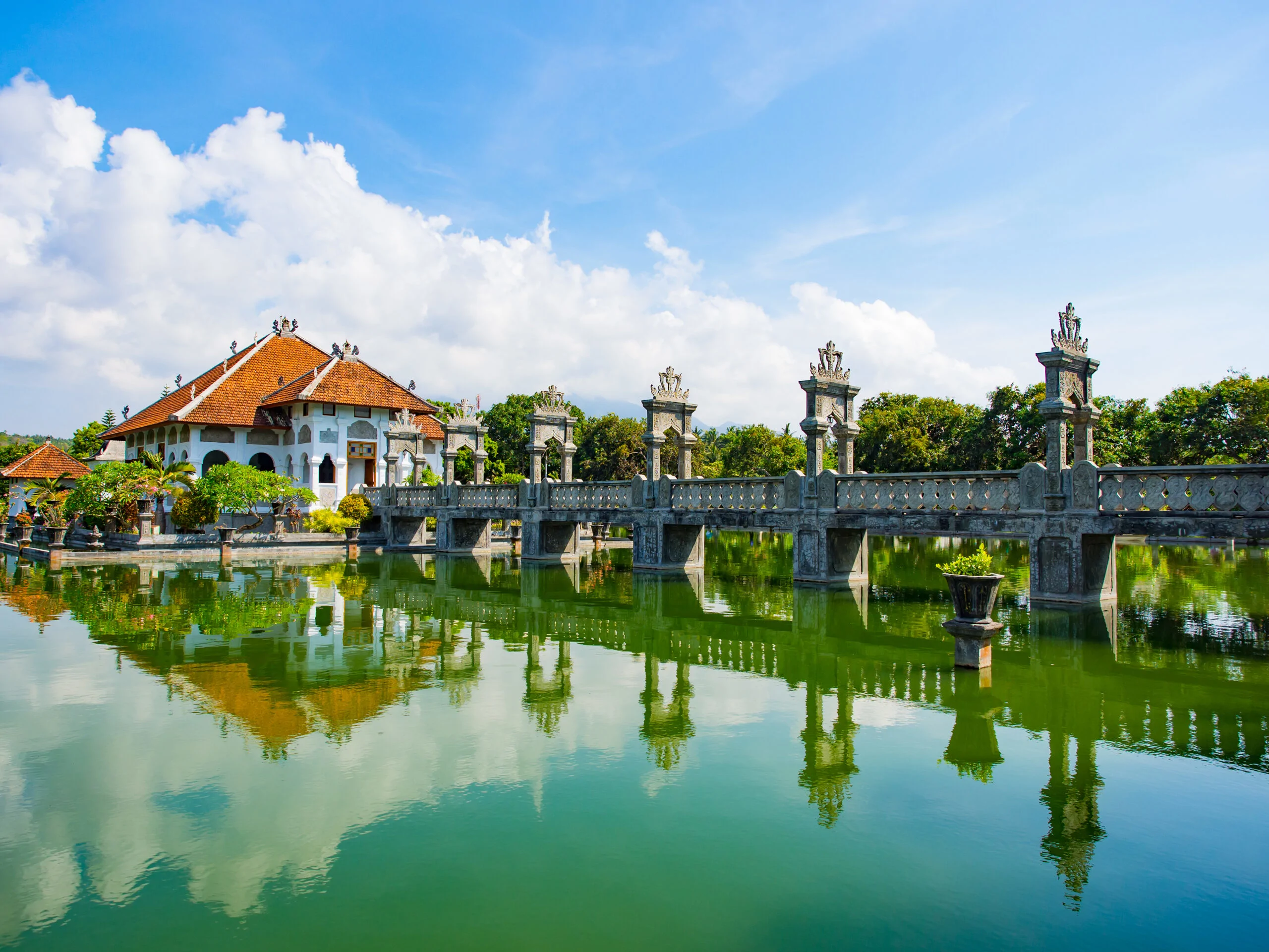ELEGANT BALİ