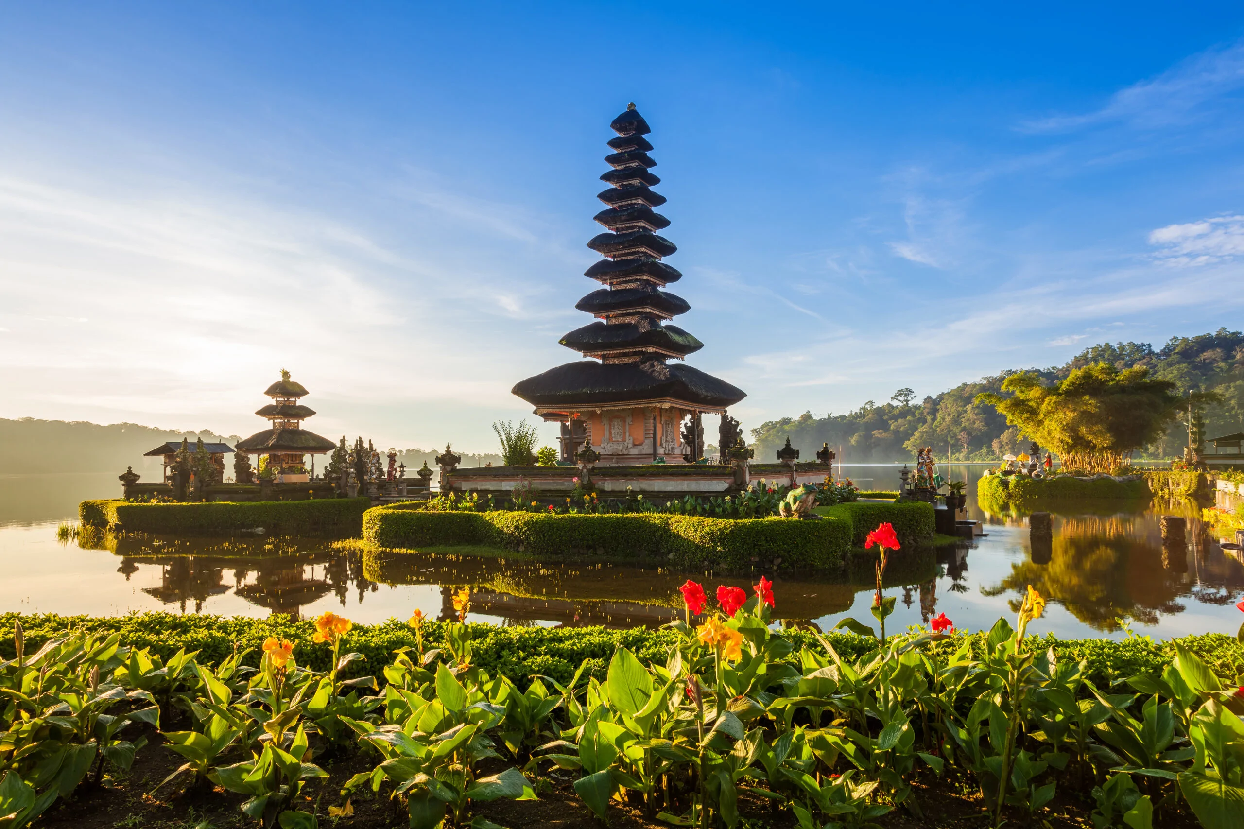 ELEGANT BALİ