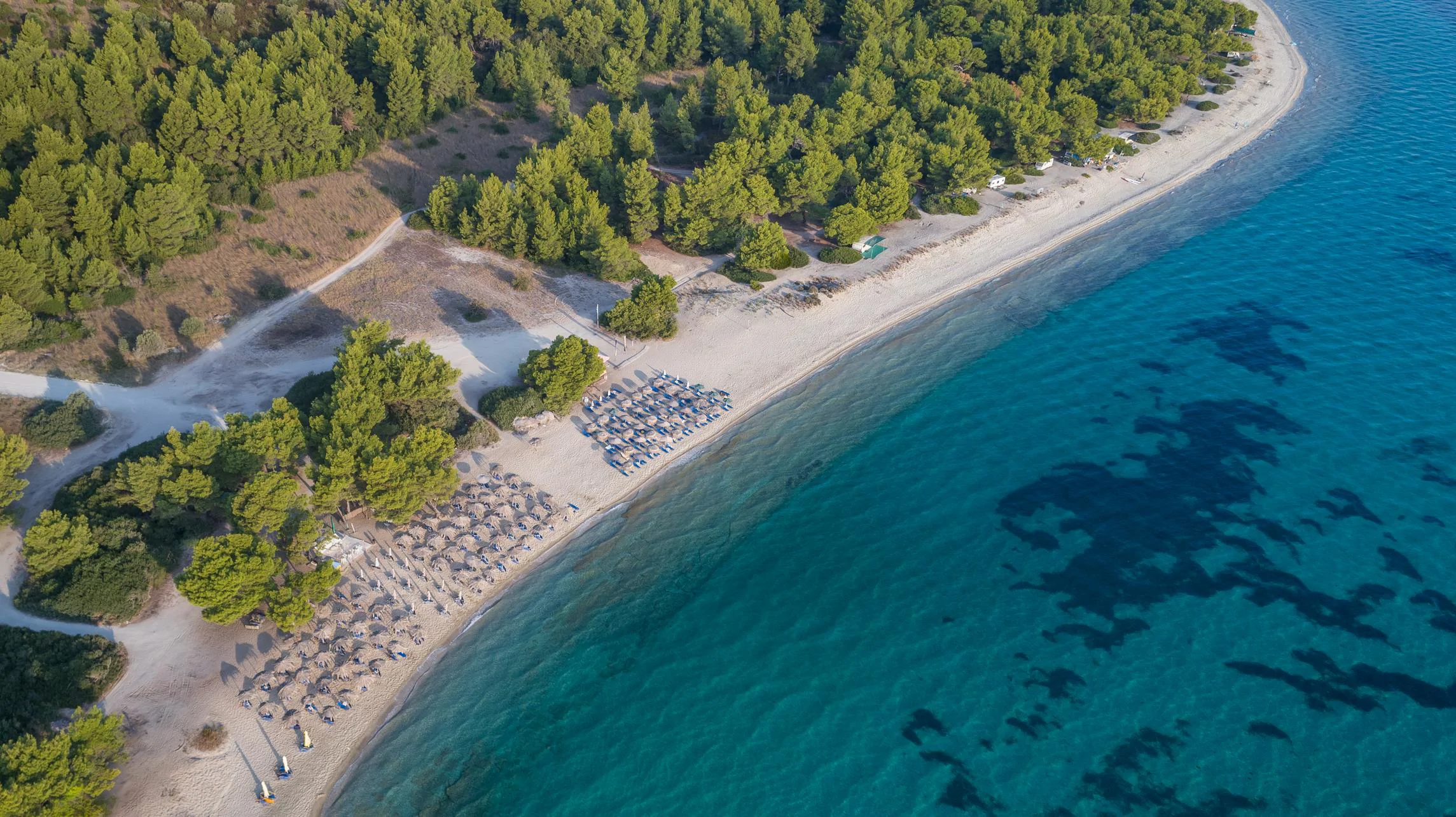 HALKİDİKİ - THASSOS -  AMMALOFOİ – SELANİK TURU 