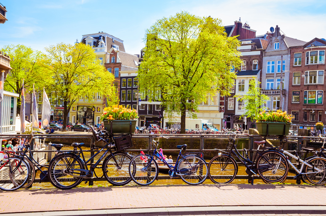 AMSTERDAM TURLARI