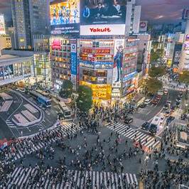 MEGA JAPONYA & GÜNEY KORE TURLARI